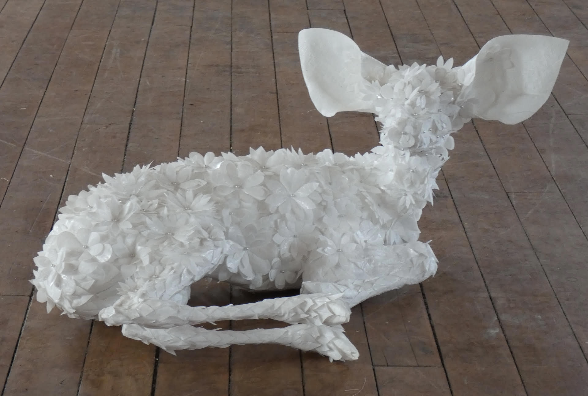 Karrie Hovey, Flora-Fauna: Deer