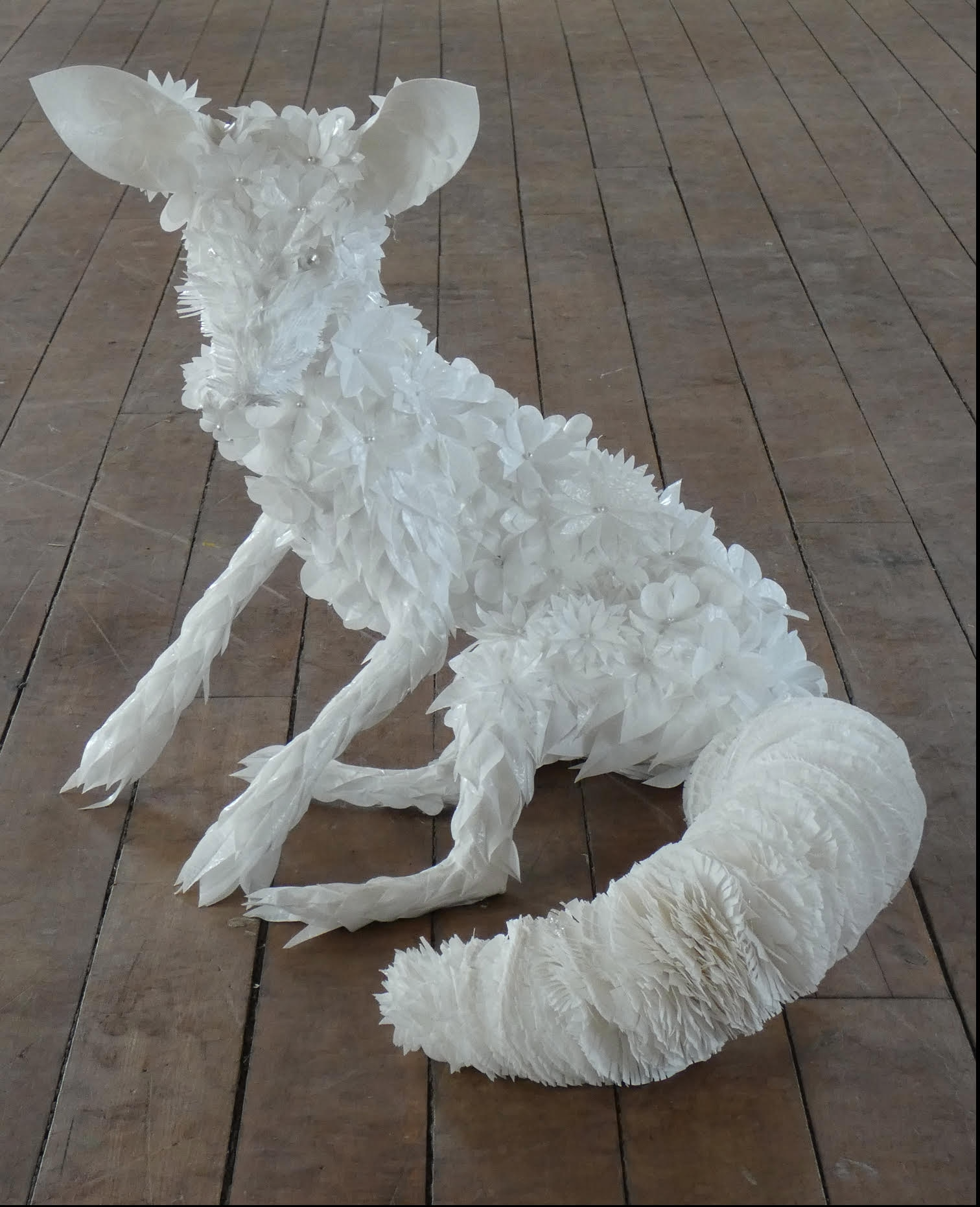 Karrie Hovey, Flora-Fauna: Fox