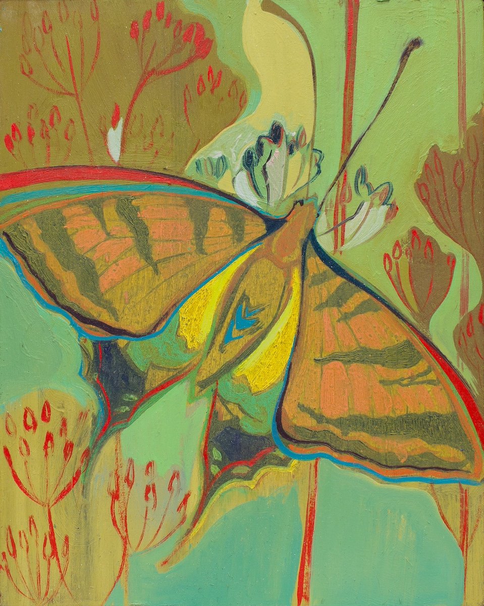 Flutterby, 10x8", oil on panel, 2026