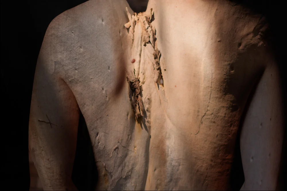 Skin & Clothing