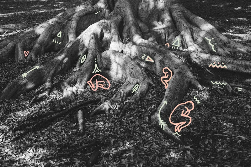 femfound-2.jpg