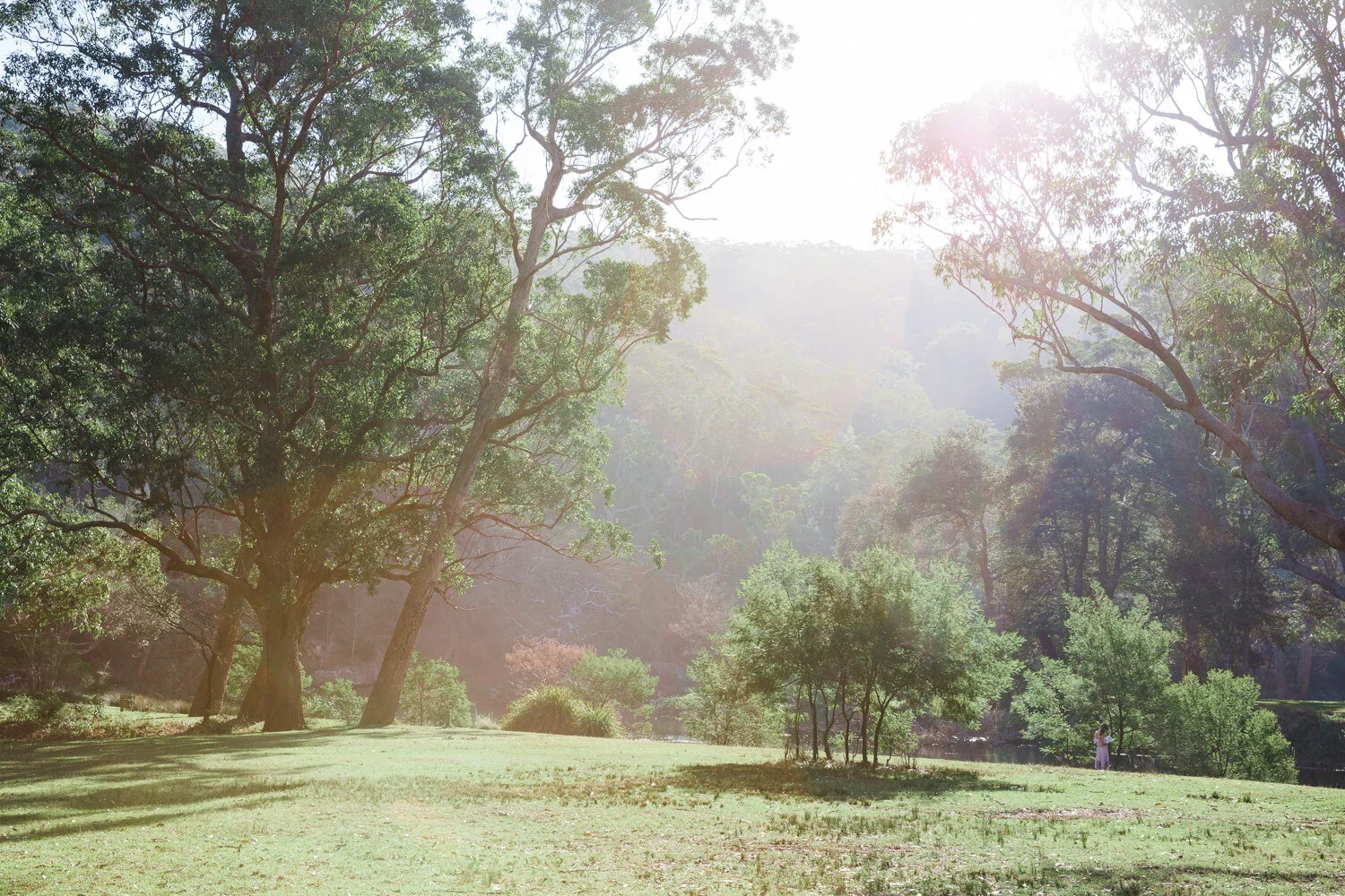 YMNATUREWEBSITE2020-24.jpg