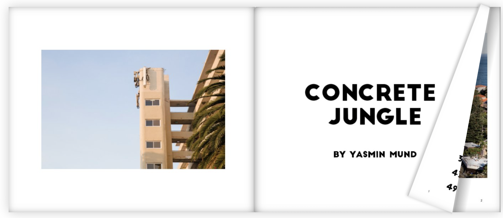 Book Preview.png