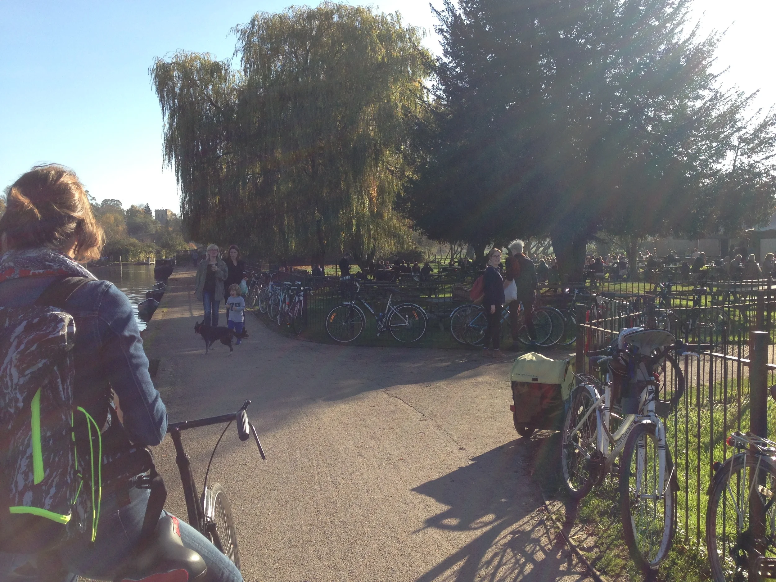 Isis Farmhouse. Crazy amounts of bikes. 
