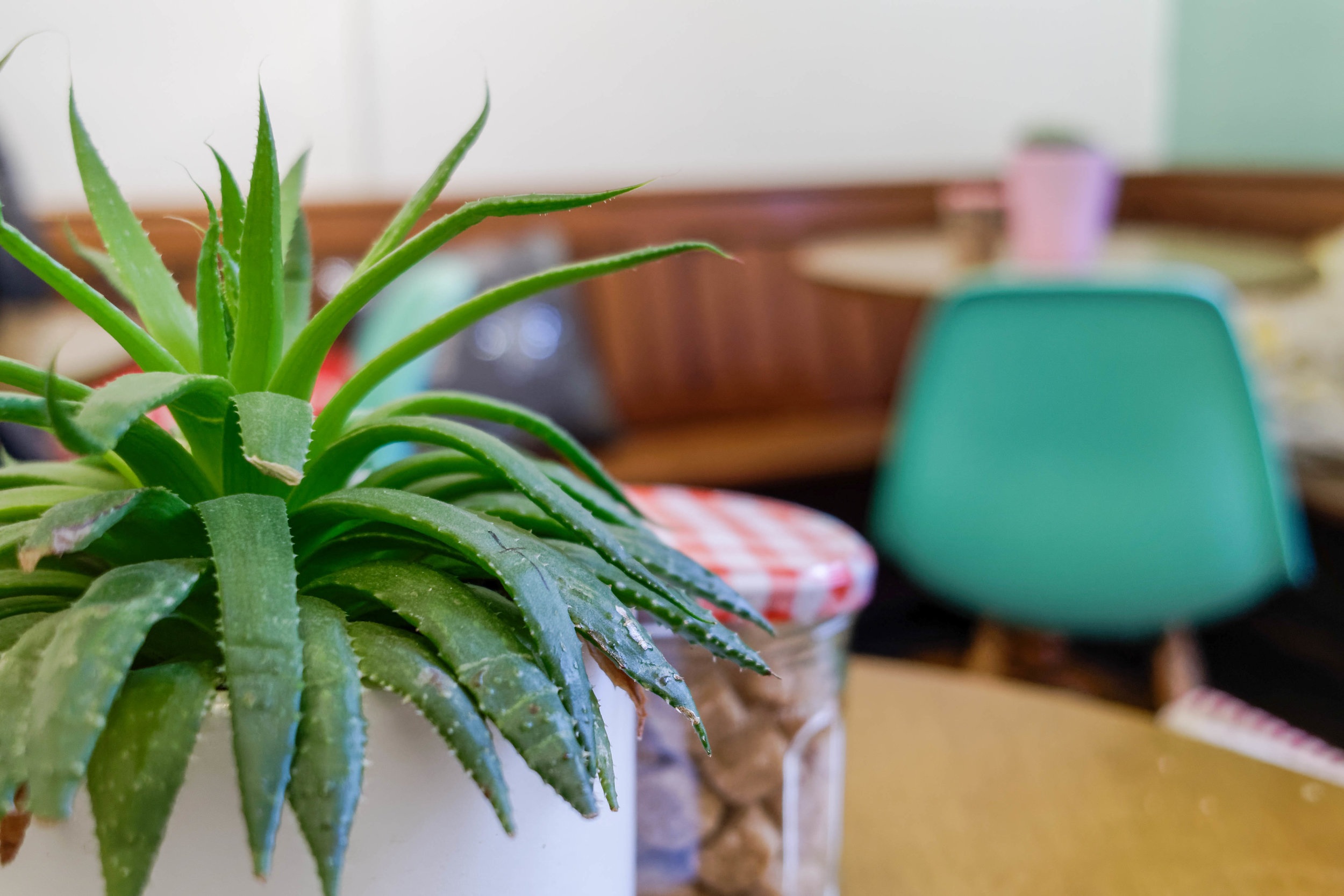 The tables are small and circular, decorated with little succulents and jars of sugar.