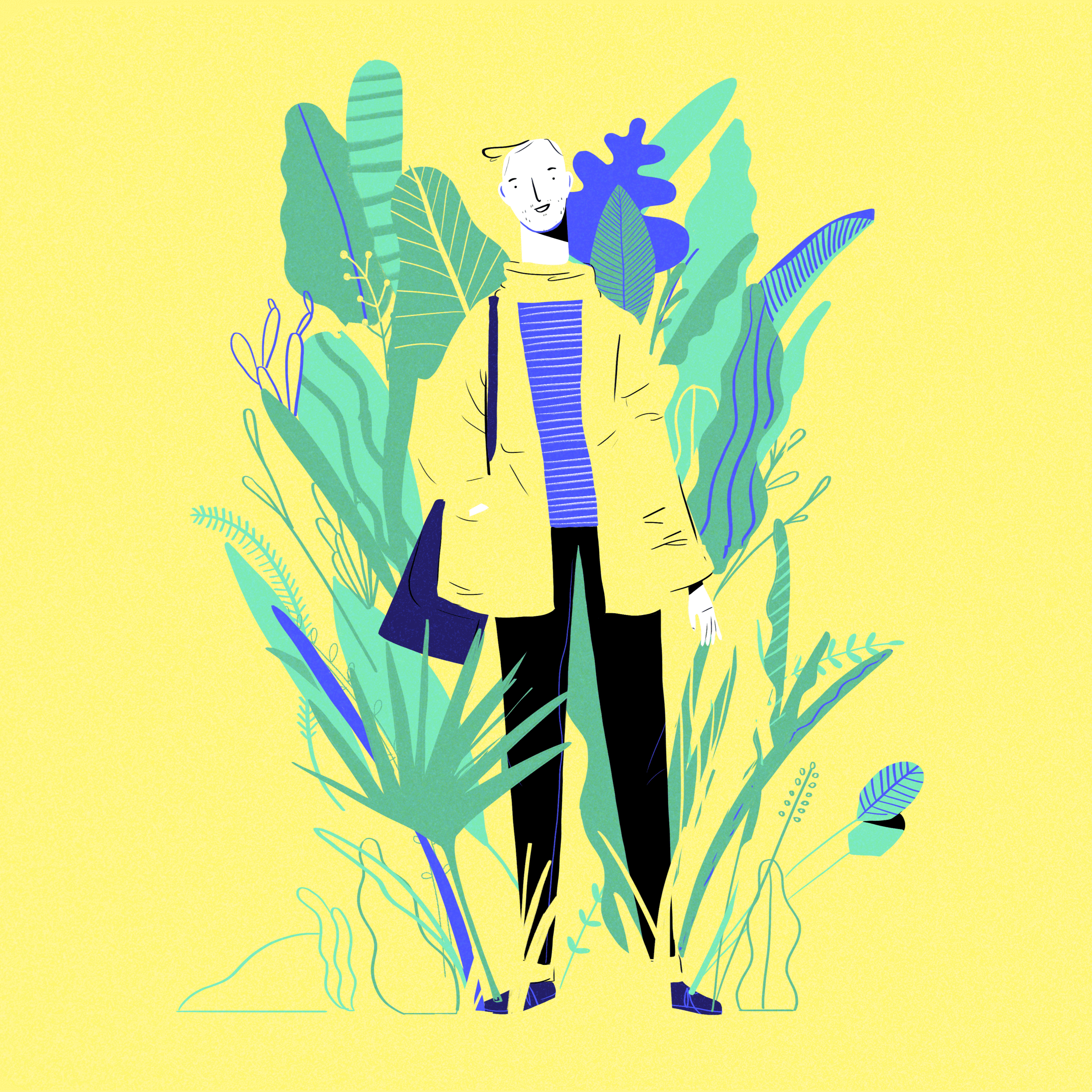 portada.gif