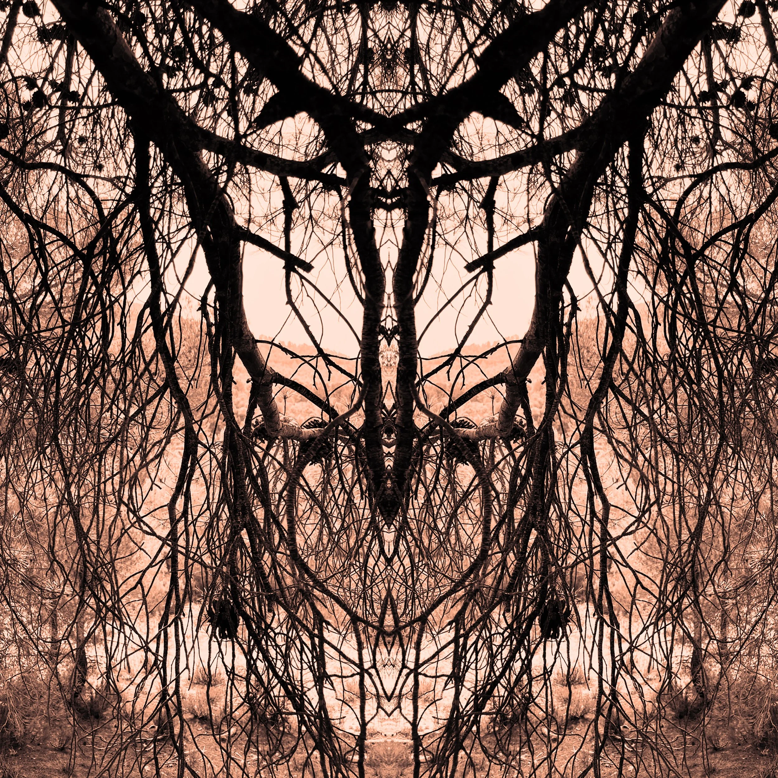 colour_WildThings_02.jpg