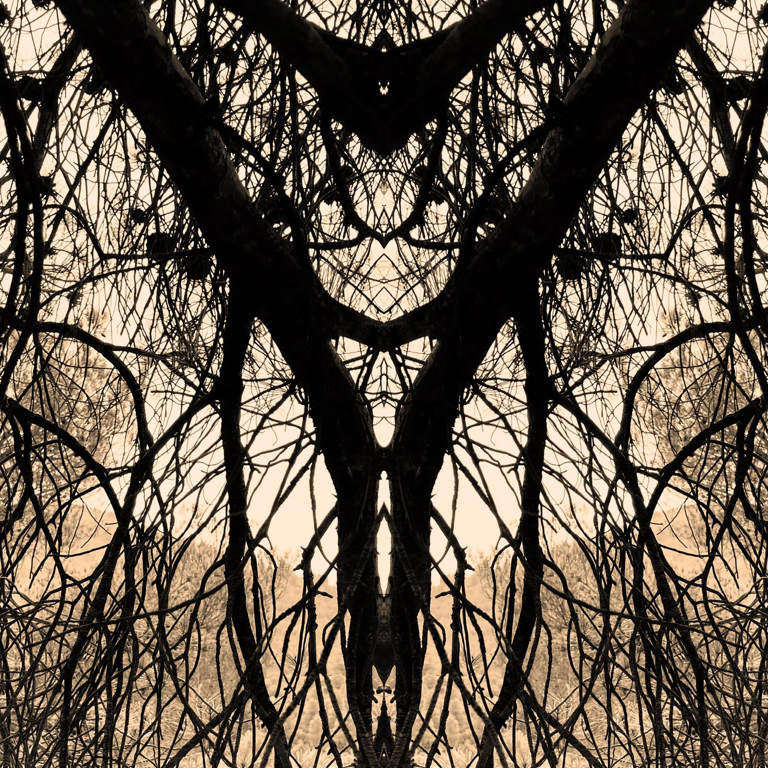 colour_WildThings_10b.jpg