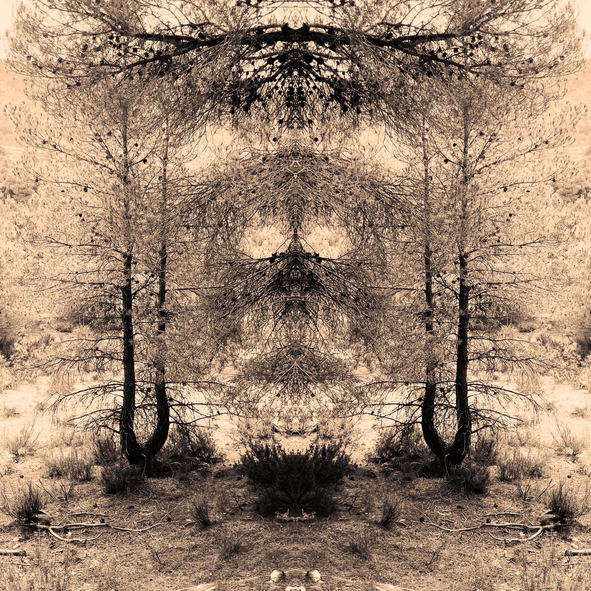 colour_WildThings_03.jpg