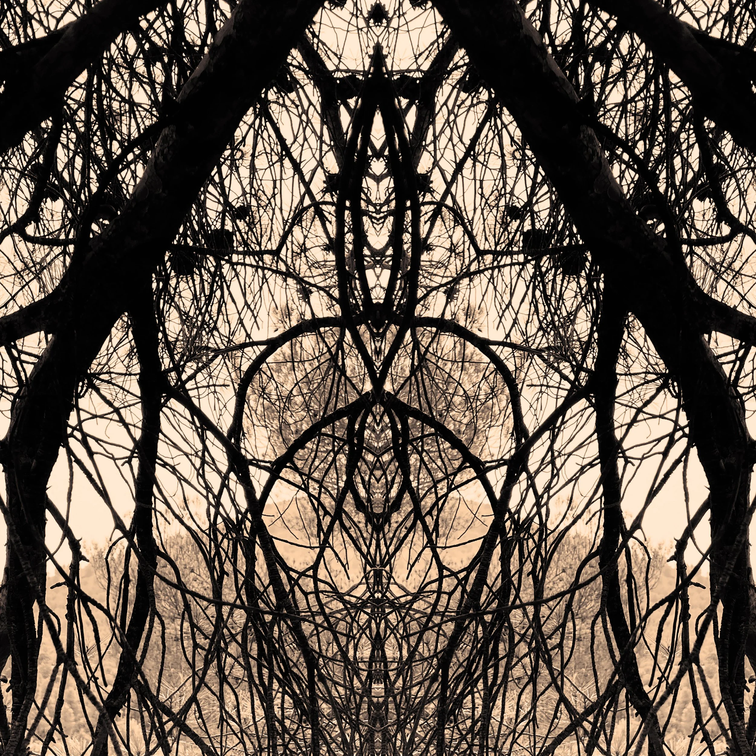 colour_WildThings_05.jpg