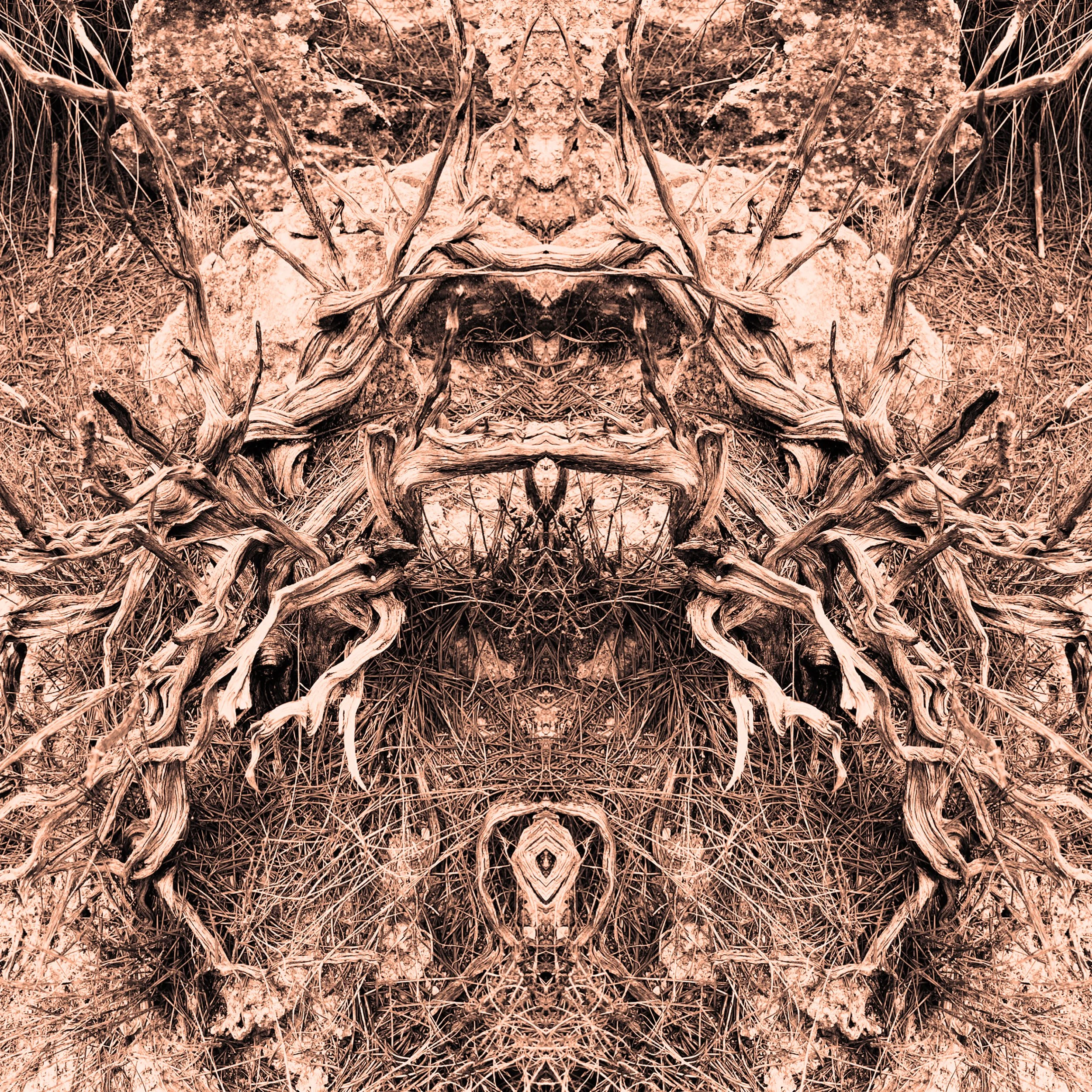 colour_WildThings_12.jpg