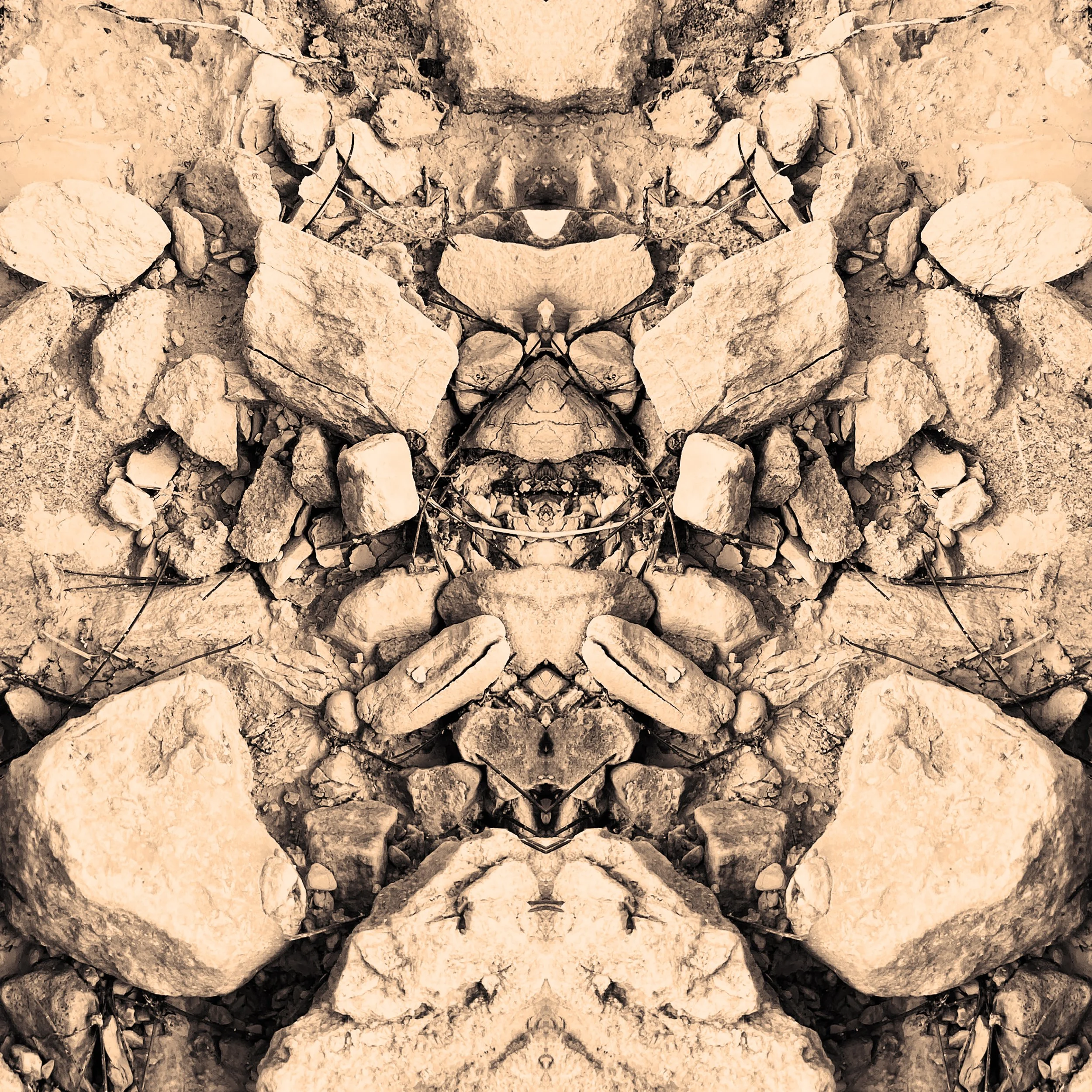 colour_WildThings_08.jpg