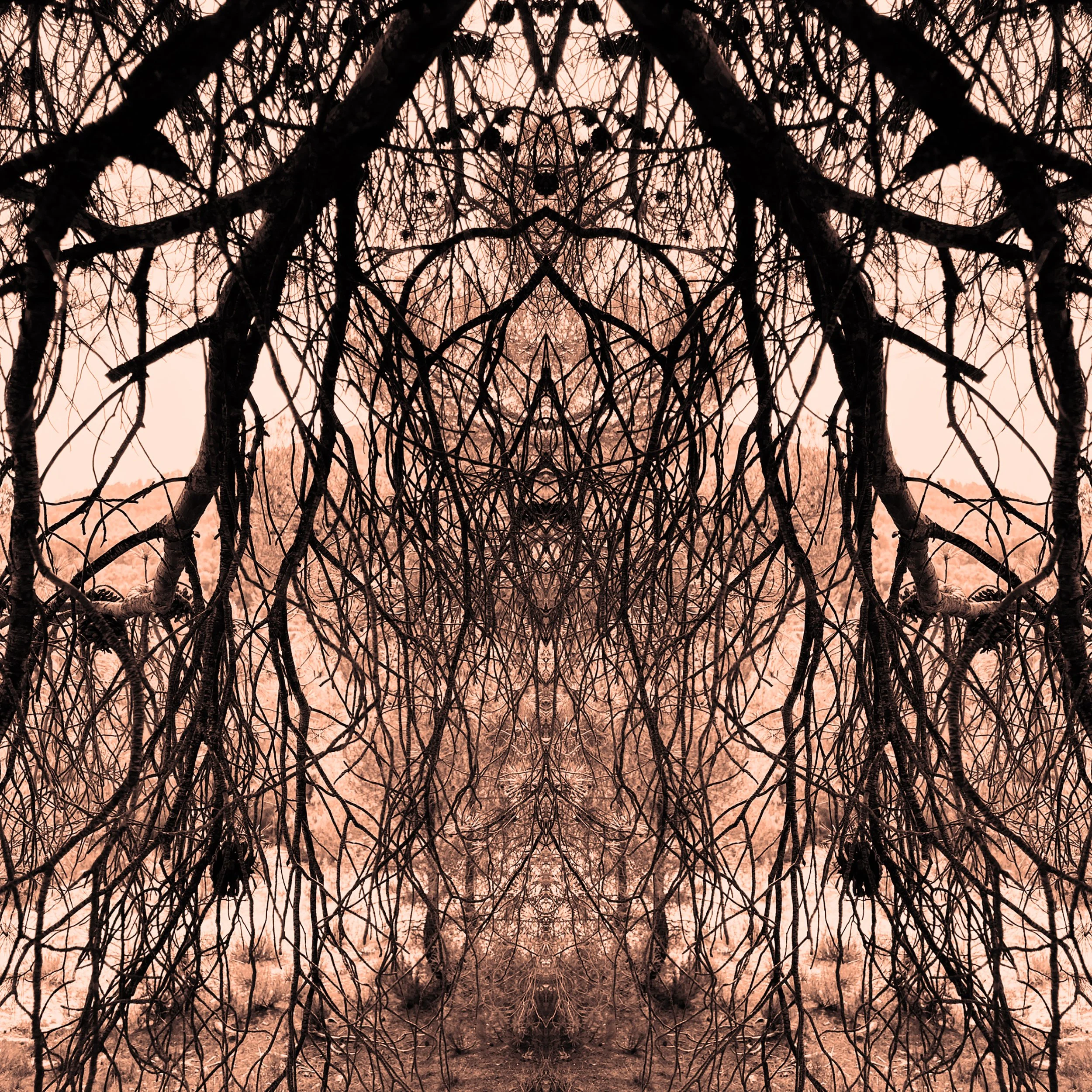 colour_WildThings_09.jpg