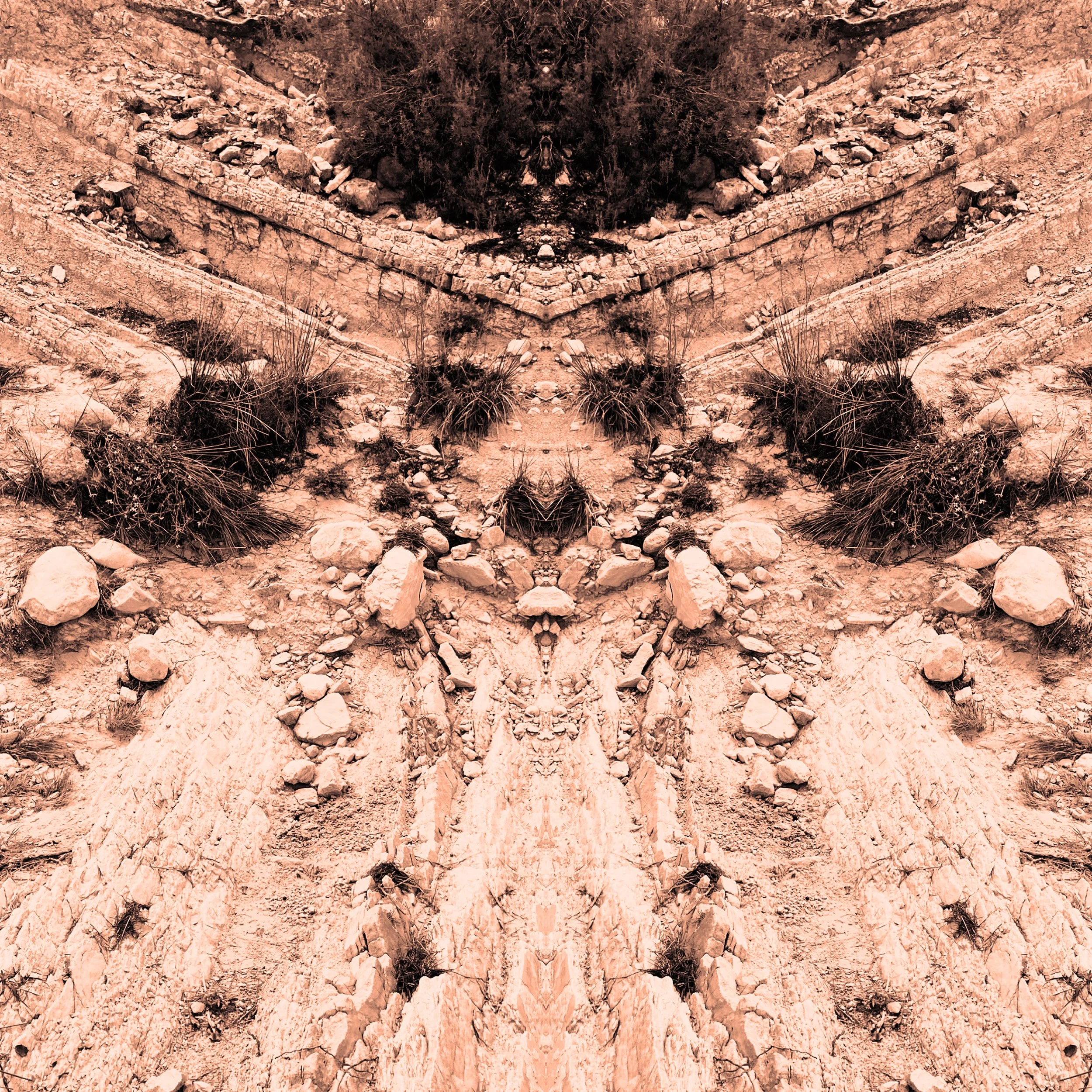 colour_WildThings_06.jpg