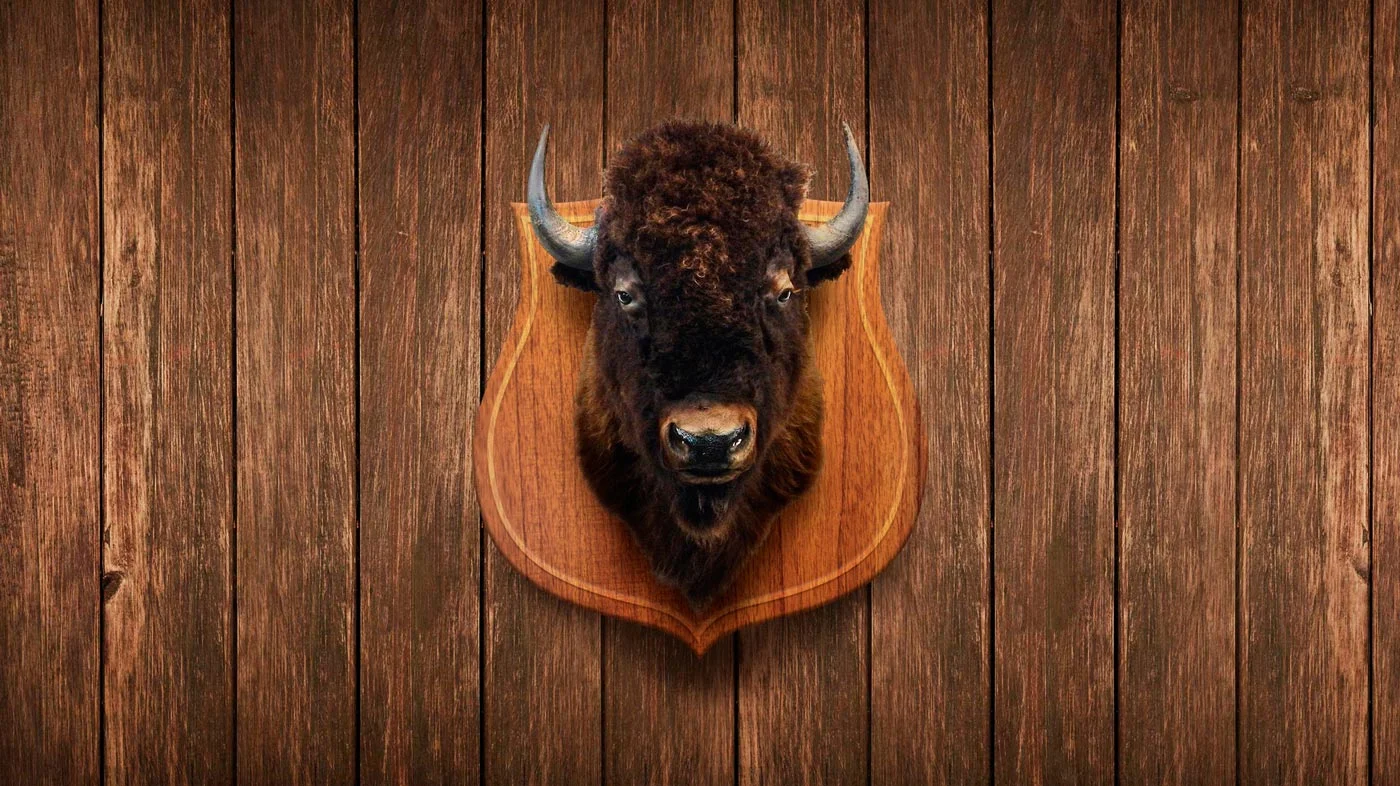 Oklahoma_cover_web.jpg