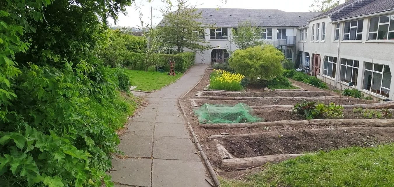 the-garden-holywood-steiner-school