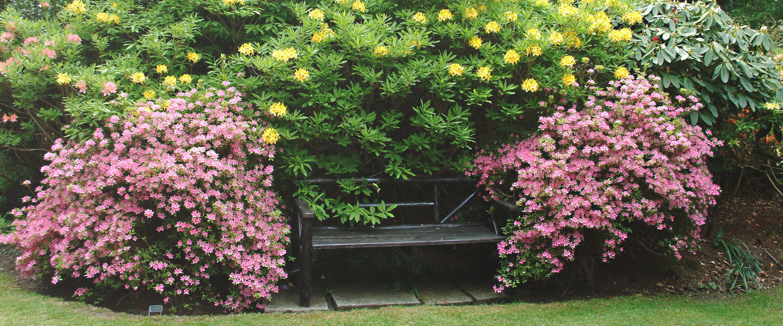 secretgarden.jpg