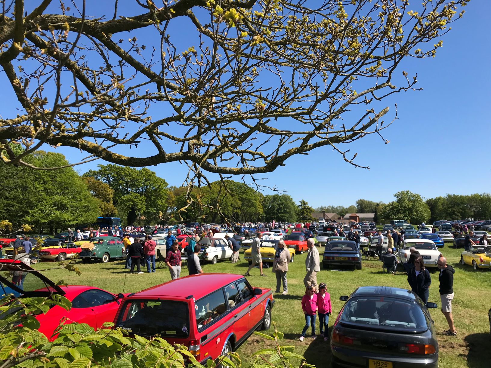 Visitors admiring the classic vehicles at Stody Lodge Gardens (credit: Stody Lodge Gardens