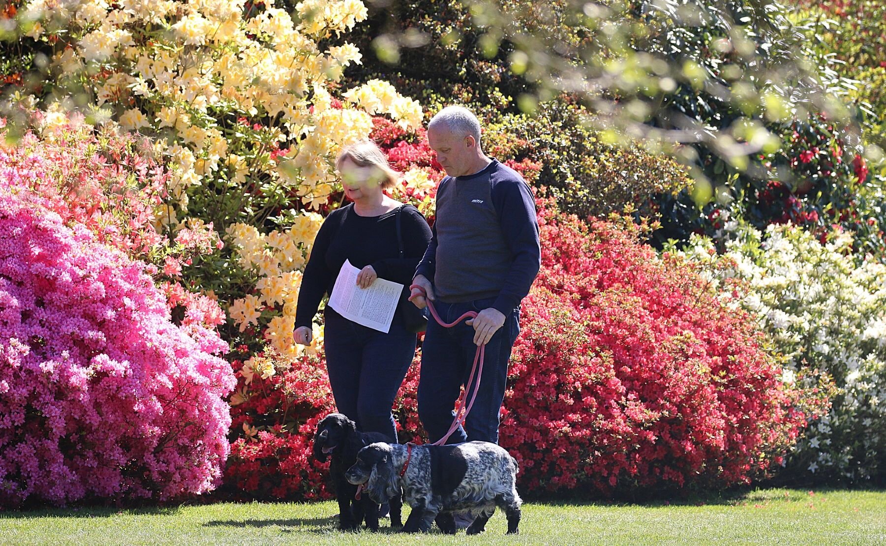 Couple with dogs_low res.jpg