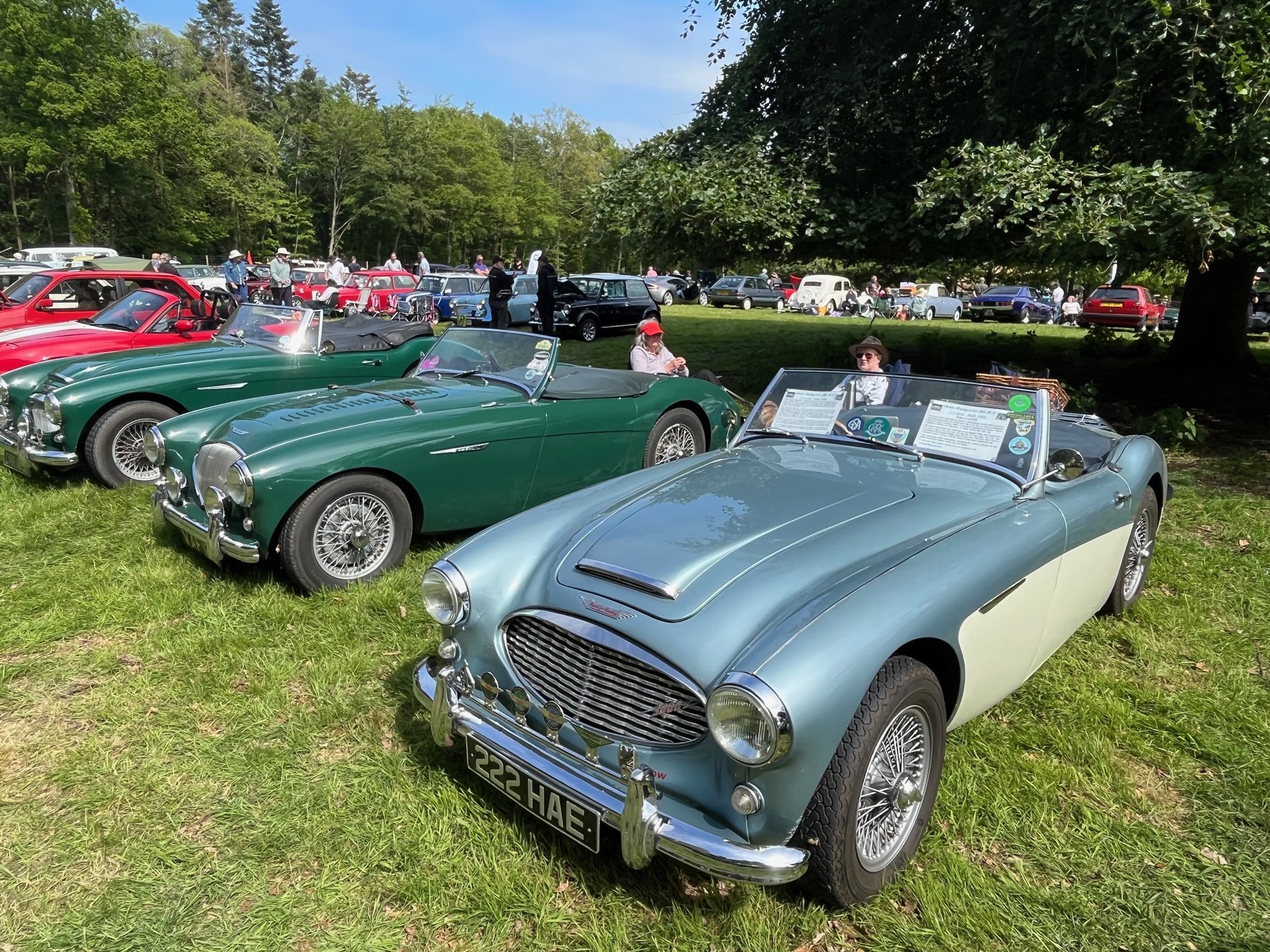 Classics at Stody Lodge Gardens_high res_credit Stody Lodge Gardens.jpg