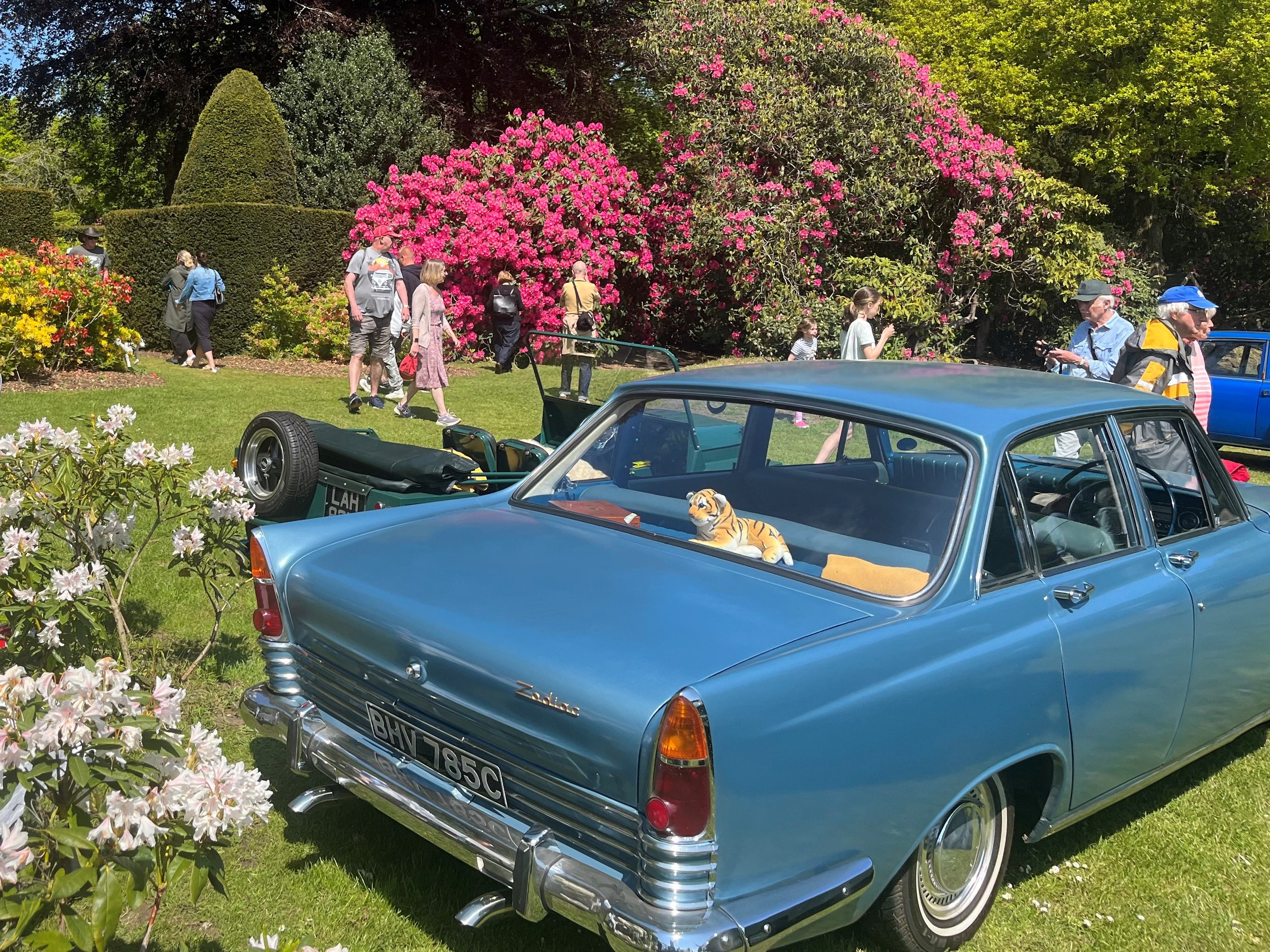 Classic vehicles within Stody Lodge Gardens_high res_credit Stody Lodge Gardens.jpeg