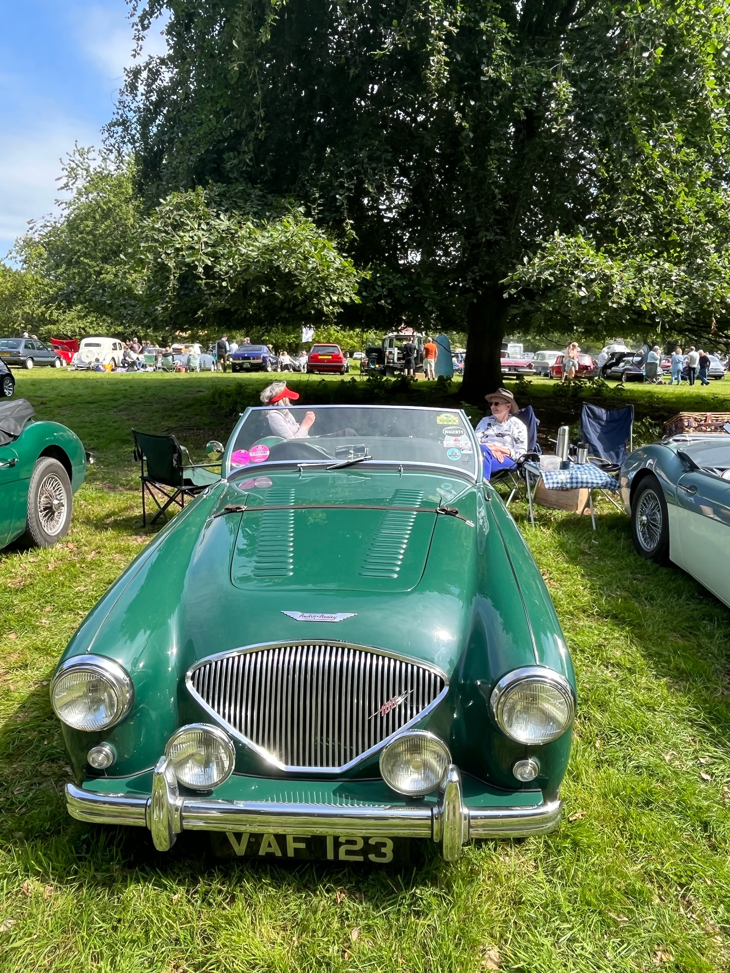 General shot of Classic Vehicle Day_credit Stody Lodge Gardens_high res.jpeg