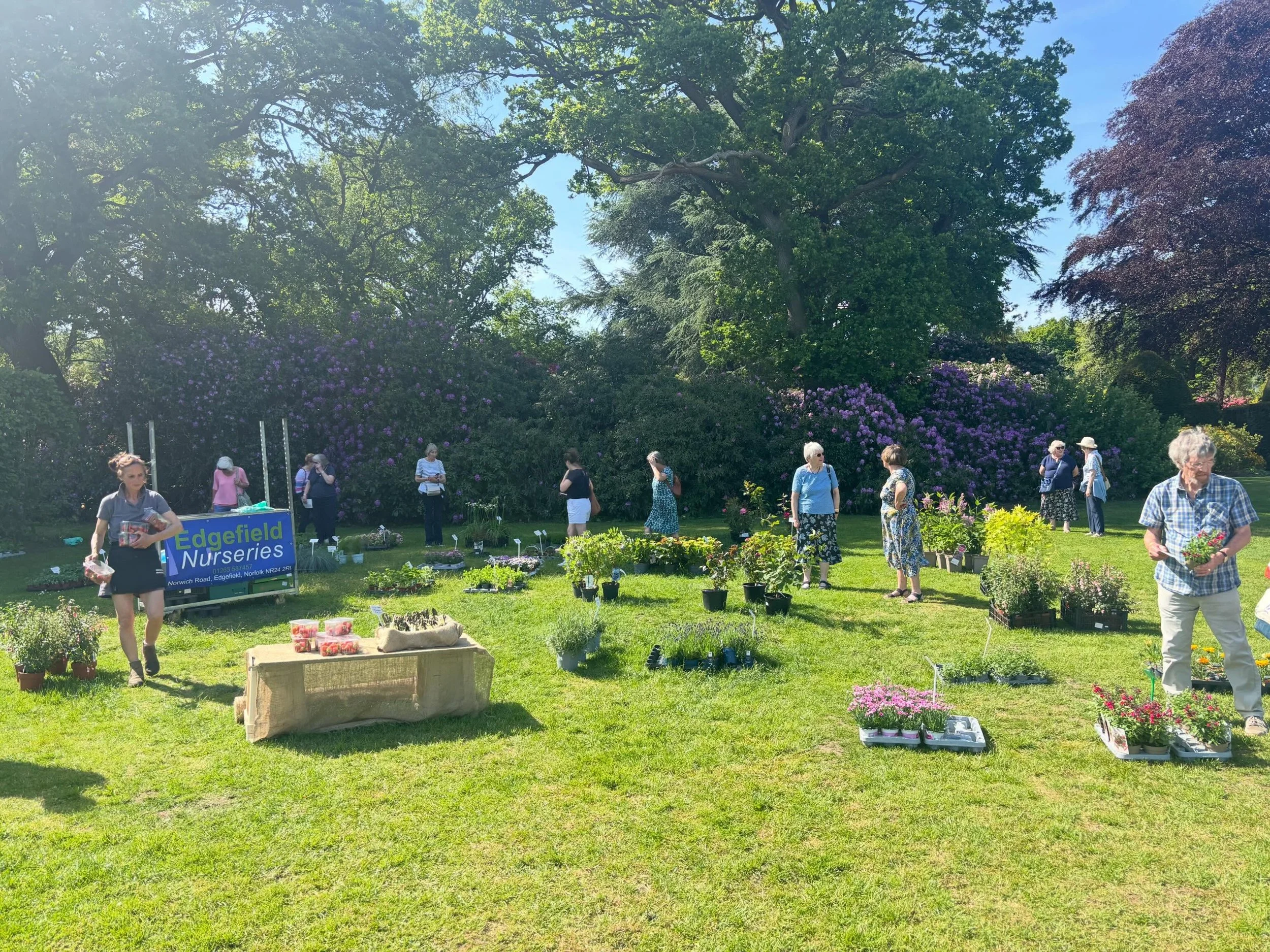 A quick shout out to the brilliant Gary, Kate and Lisa from Edgefield Nurseries who provide our plant-loving visitors with a fantastic selection of herbaceous perennials and top quality shrubs including several varieties of rhododendrons and azaleas.