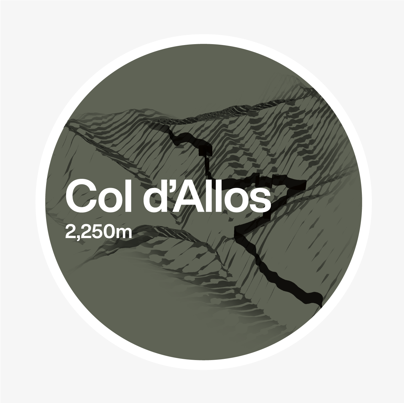 coldallos_forest@4x.png