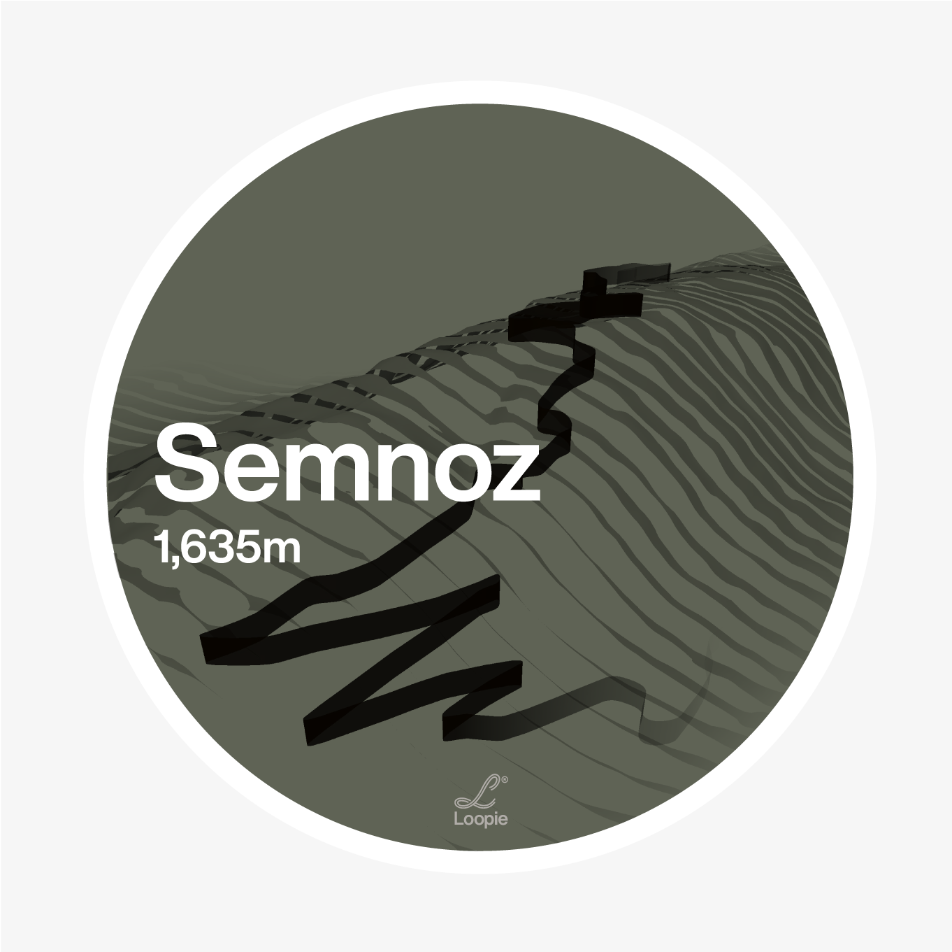 semnoz_forest.png