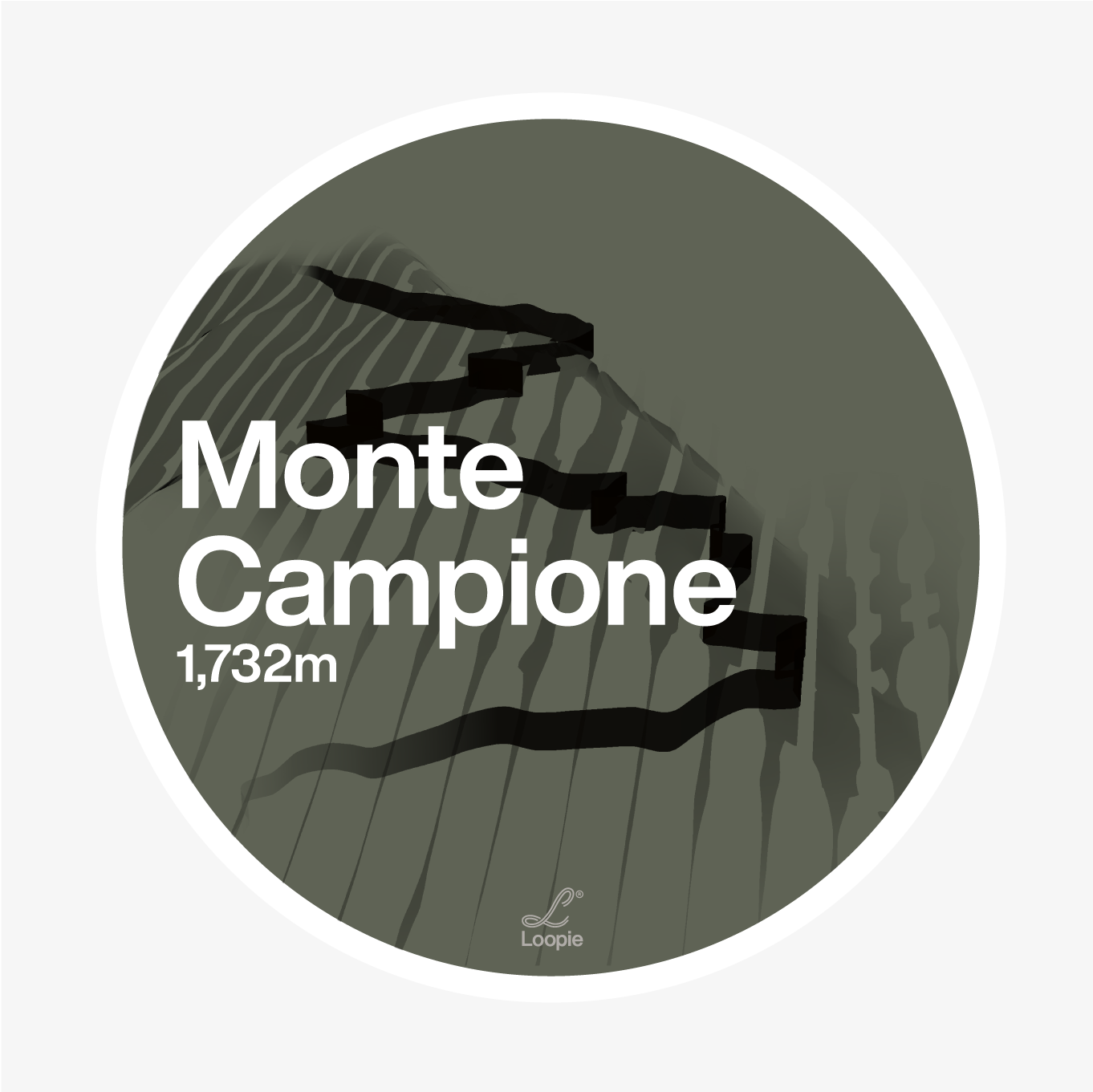 campione_forest.png