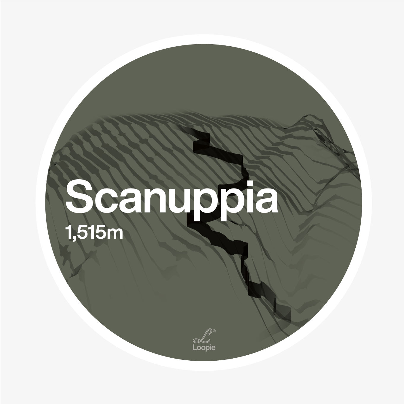 scanuppia_forest.png