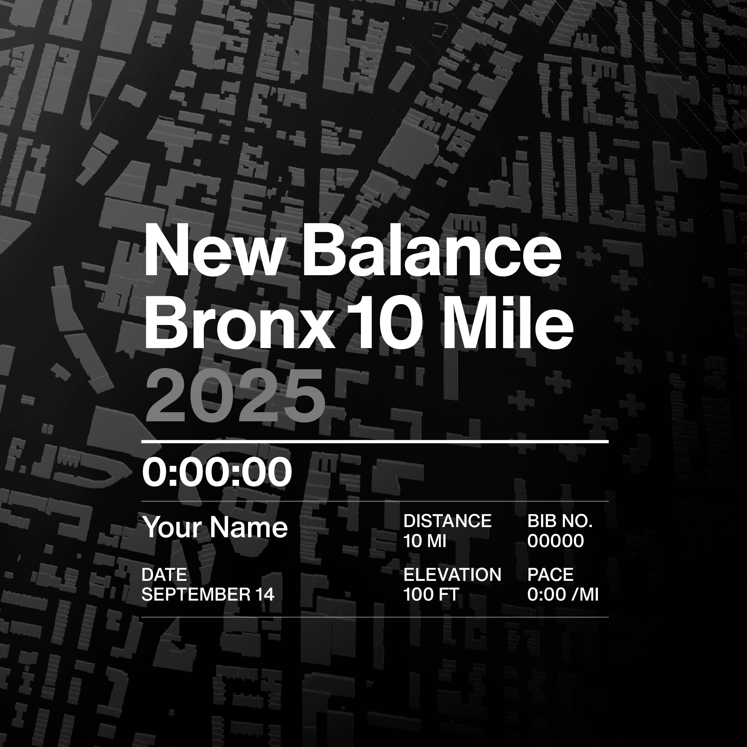 bronx10_04.jpg