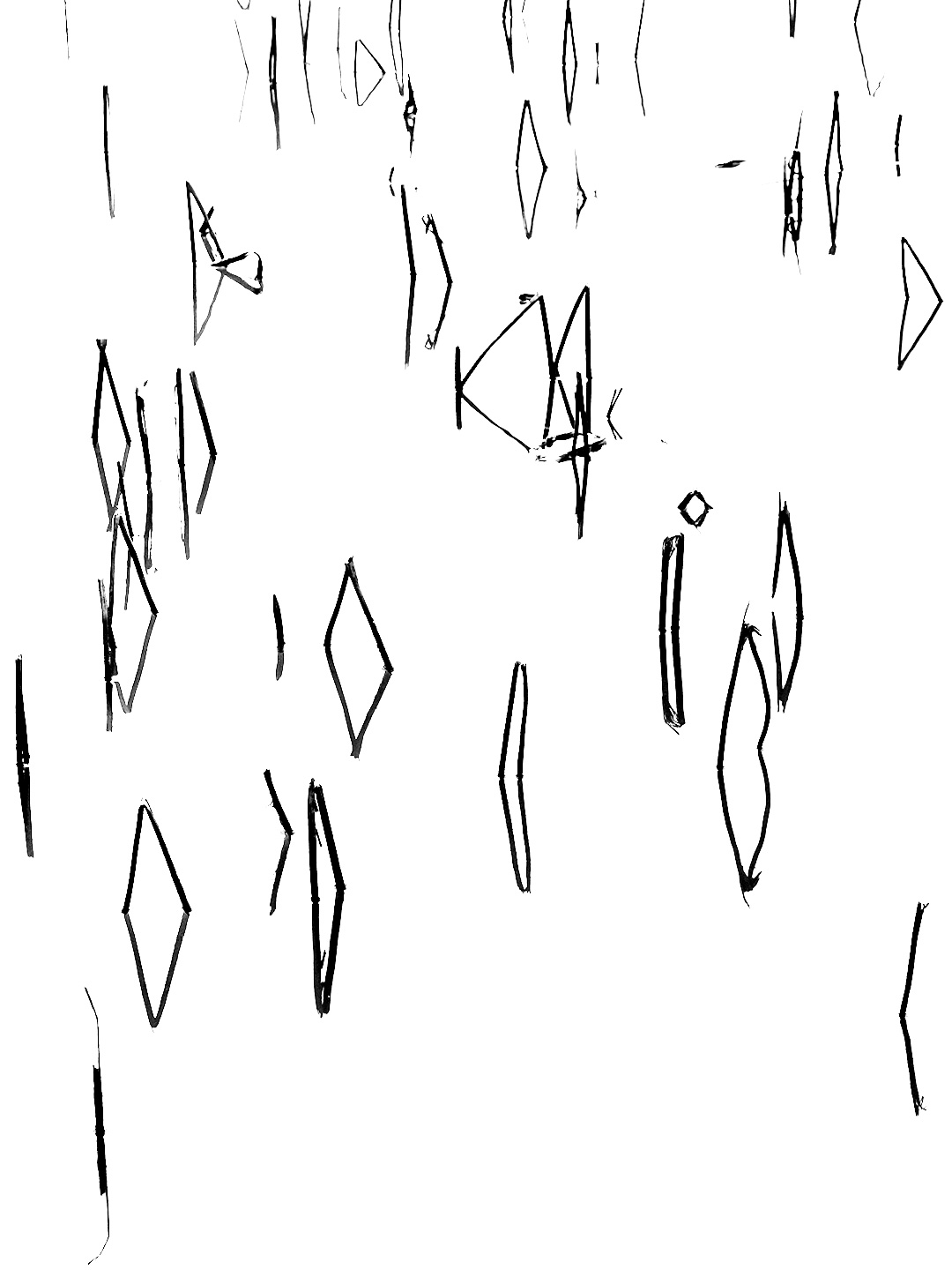 2H4A7816.jpg