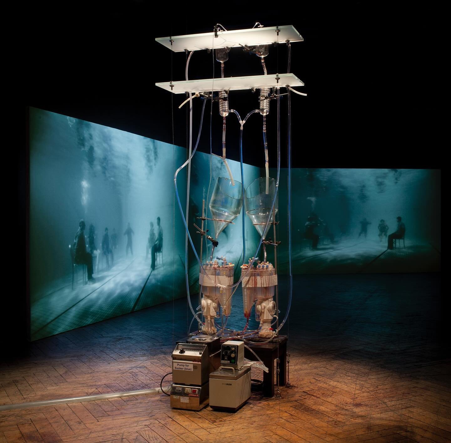 Explore the life sciences at The Cell🔬🧬

At The National Museum of Science&rsquo;s newest endeavour, The Cell, the intersection between art and the scientific study of life itself is examined and presented to the visitor. The research topic has a r