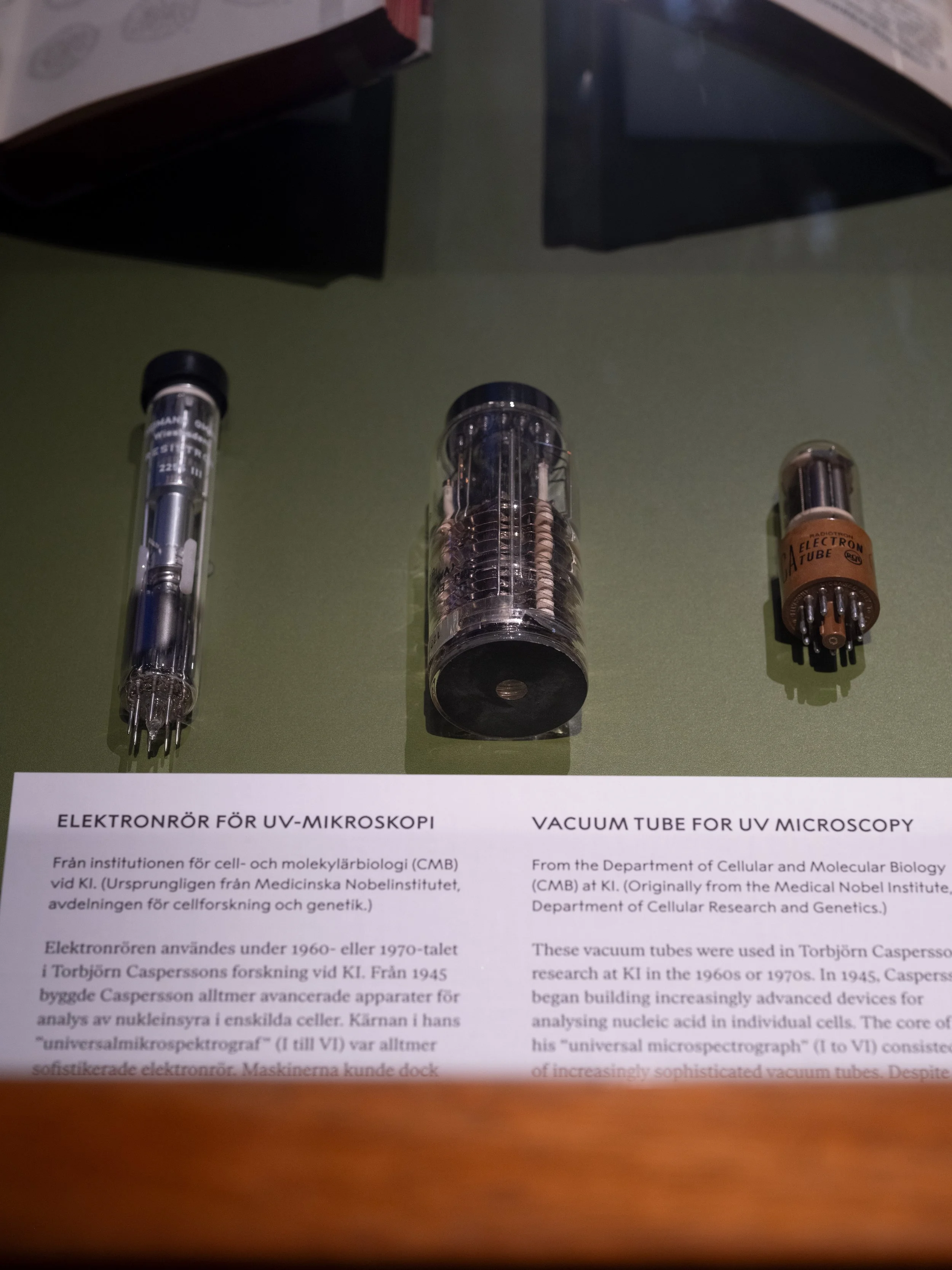 Celler nerver gener-6.jpeg