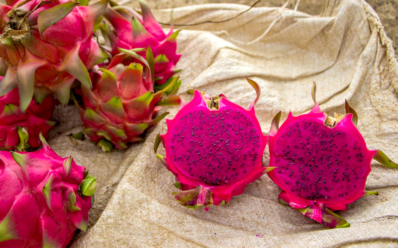 dragonfruit-gallery-09.jpg