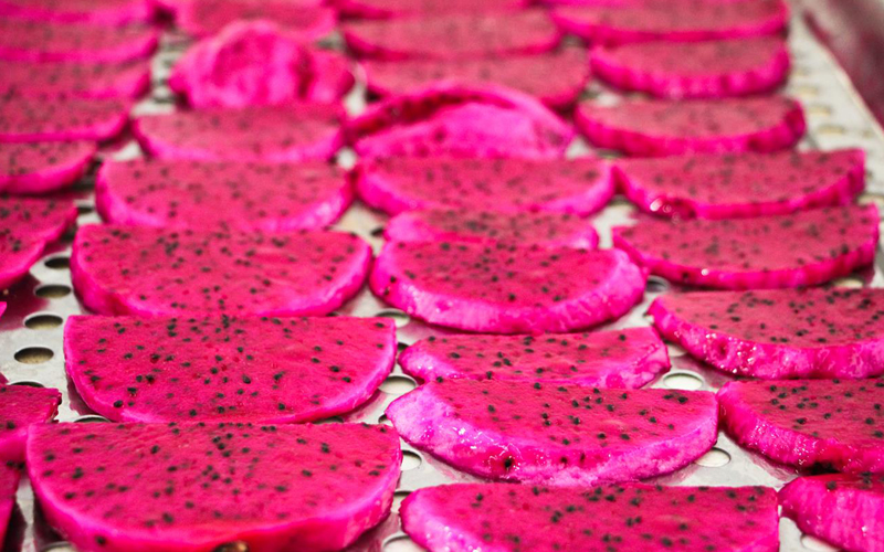 dragonfruit-gallery-05.jpg