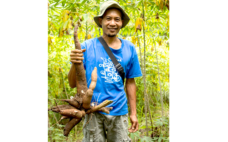 cassava-gallery-05.jpg