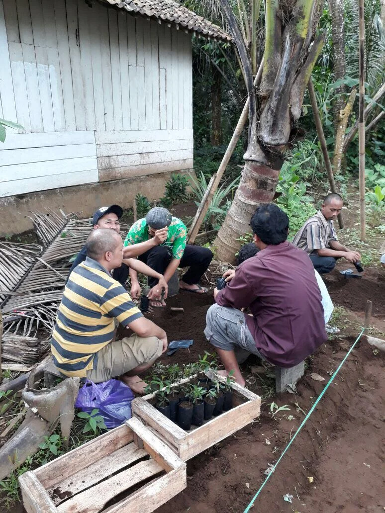Developing sustainable nursery.