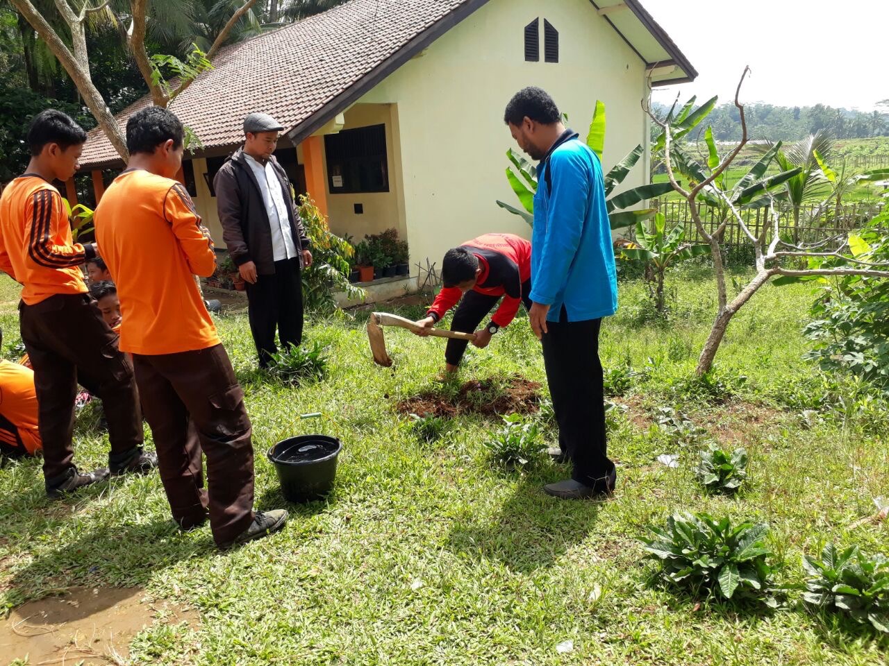 Planting the seedlings.