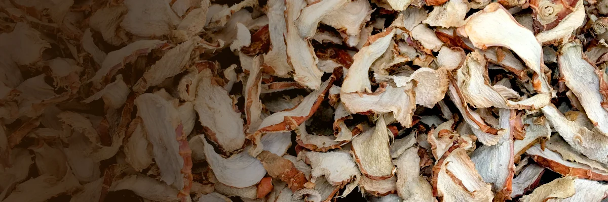 Organic-Dried-Galangal-header.jpg