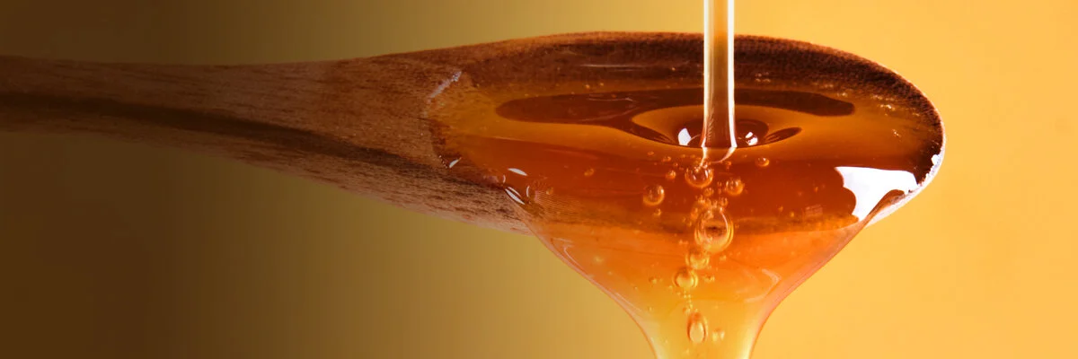 Organic-LontarNectar-header-2020.jpg
