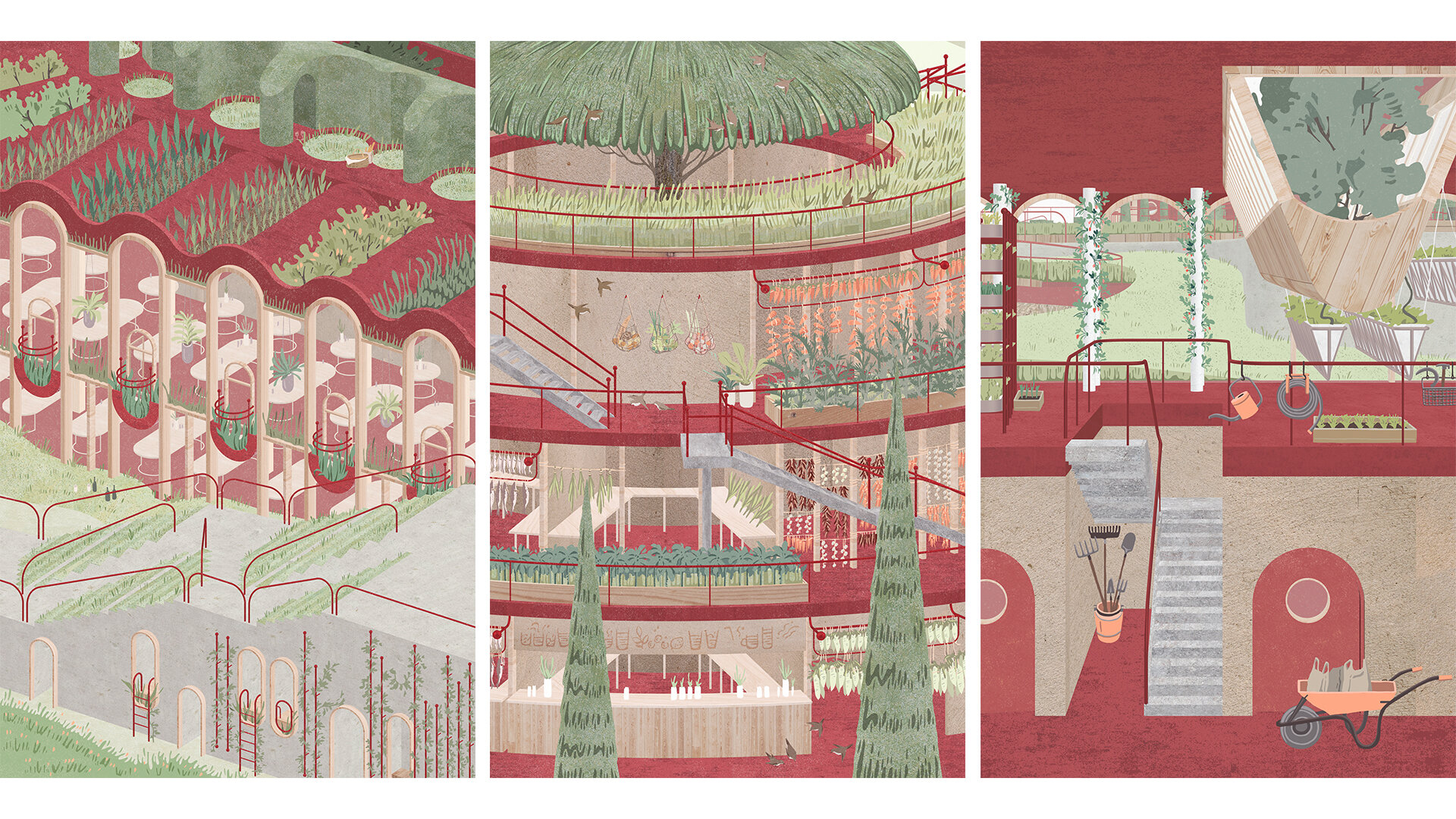 Productive Landscape - Regent’s Park Food Community_Meiying Hong_MArch Year 5, Bartlett School of Architecture, UCL 9.jpg