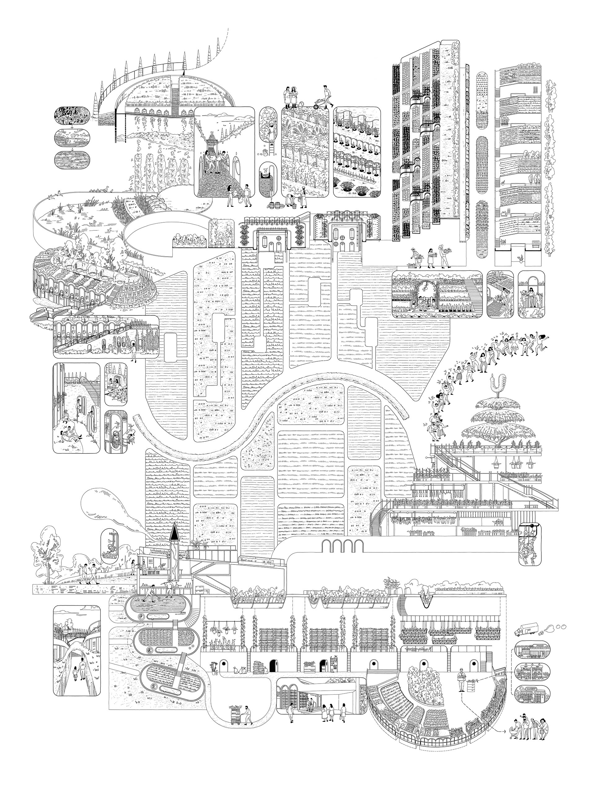 Productive Landscape - Regent’s Park Food Community_Meiying Hong_MArch Year 5, Bartlett School of Architecture, UCL 11.jpg