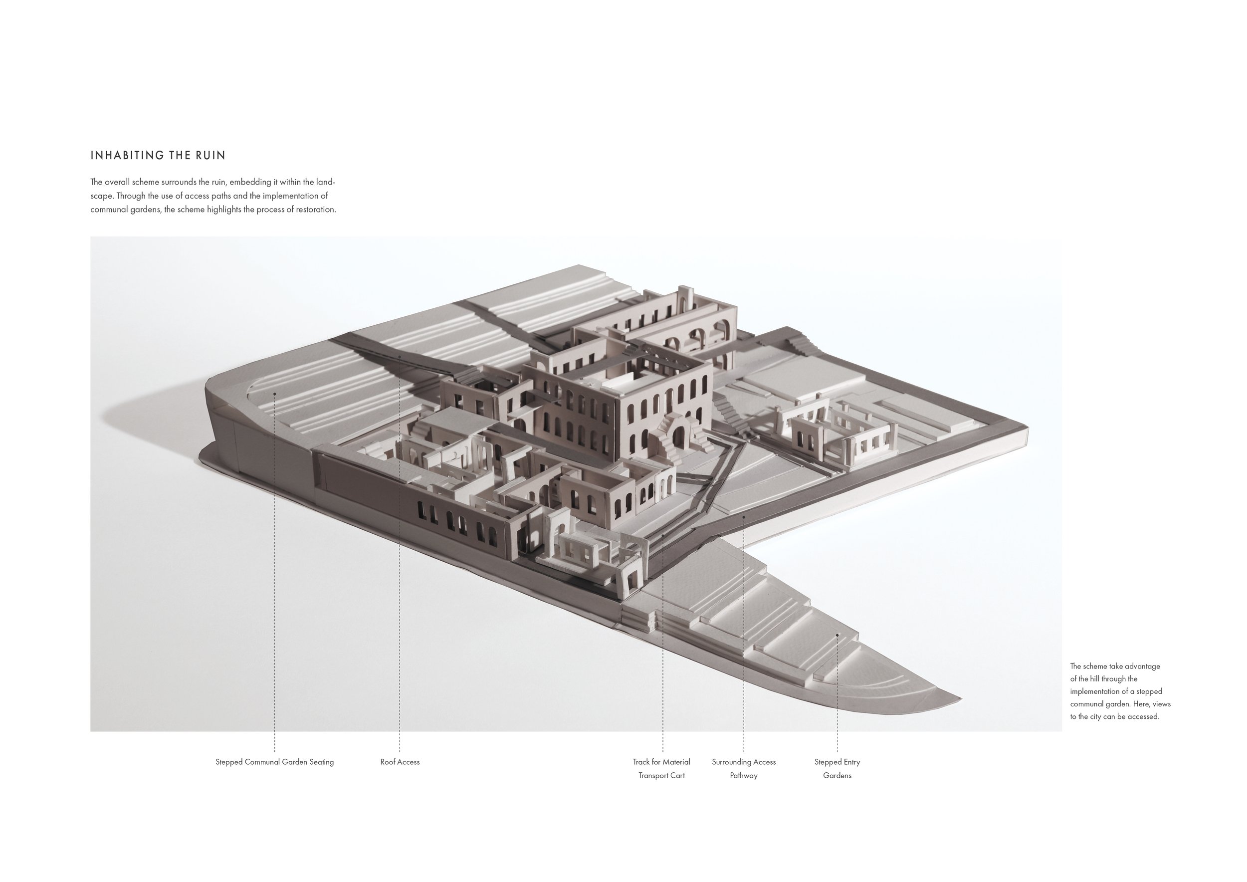 Unit 11 Website Pages 16.jpg