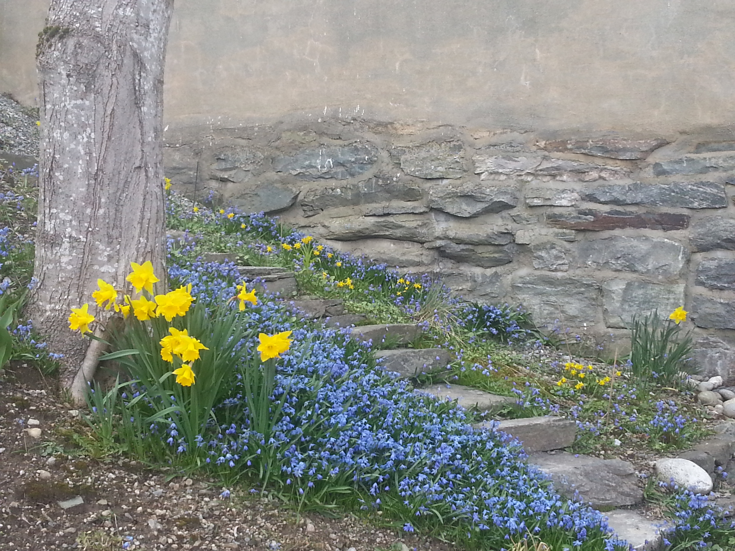 20150416_172606.jpg