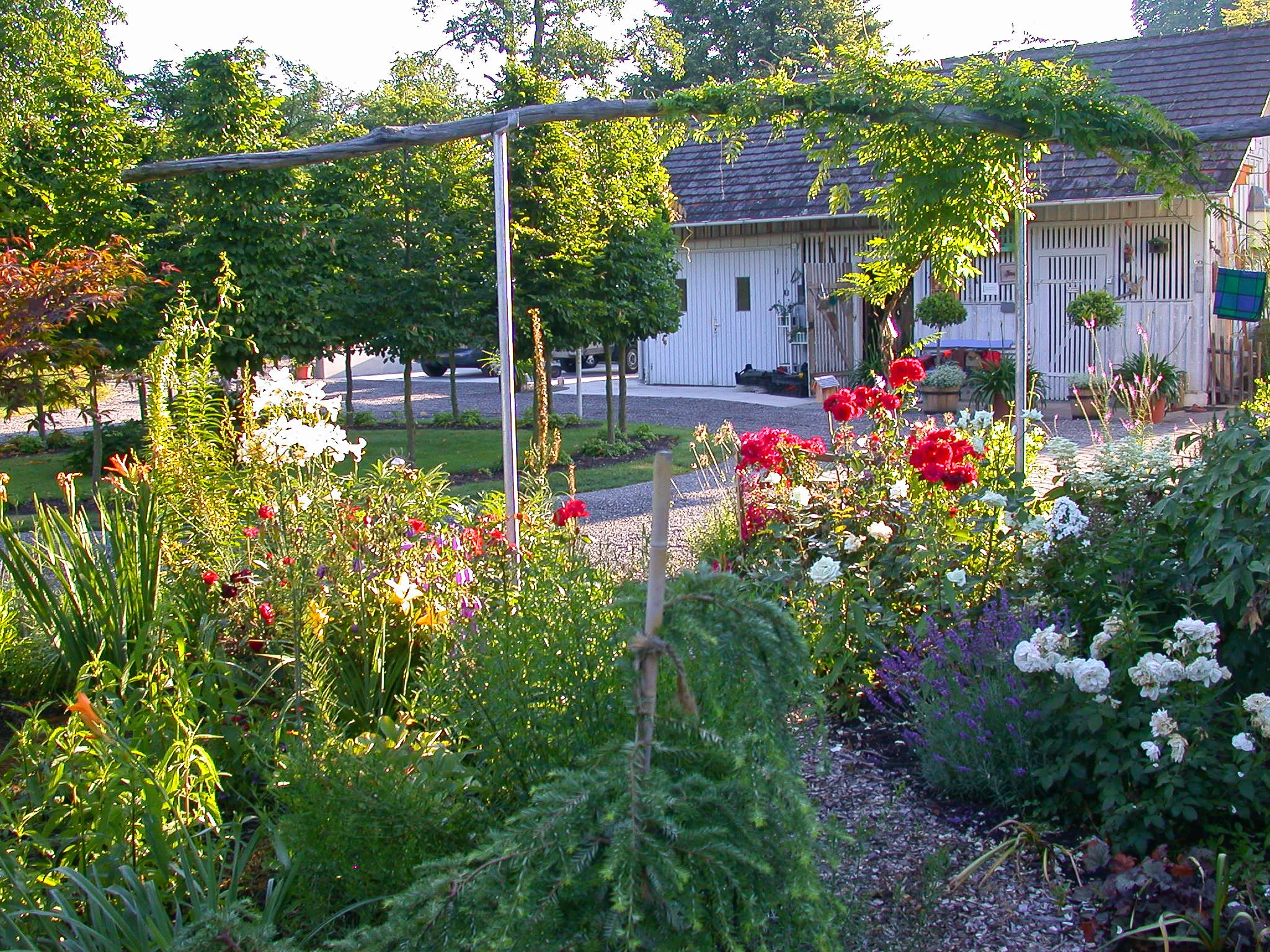 Sommerrausch
