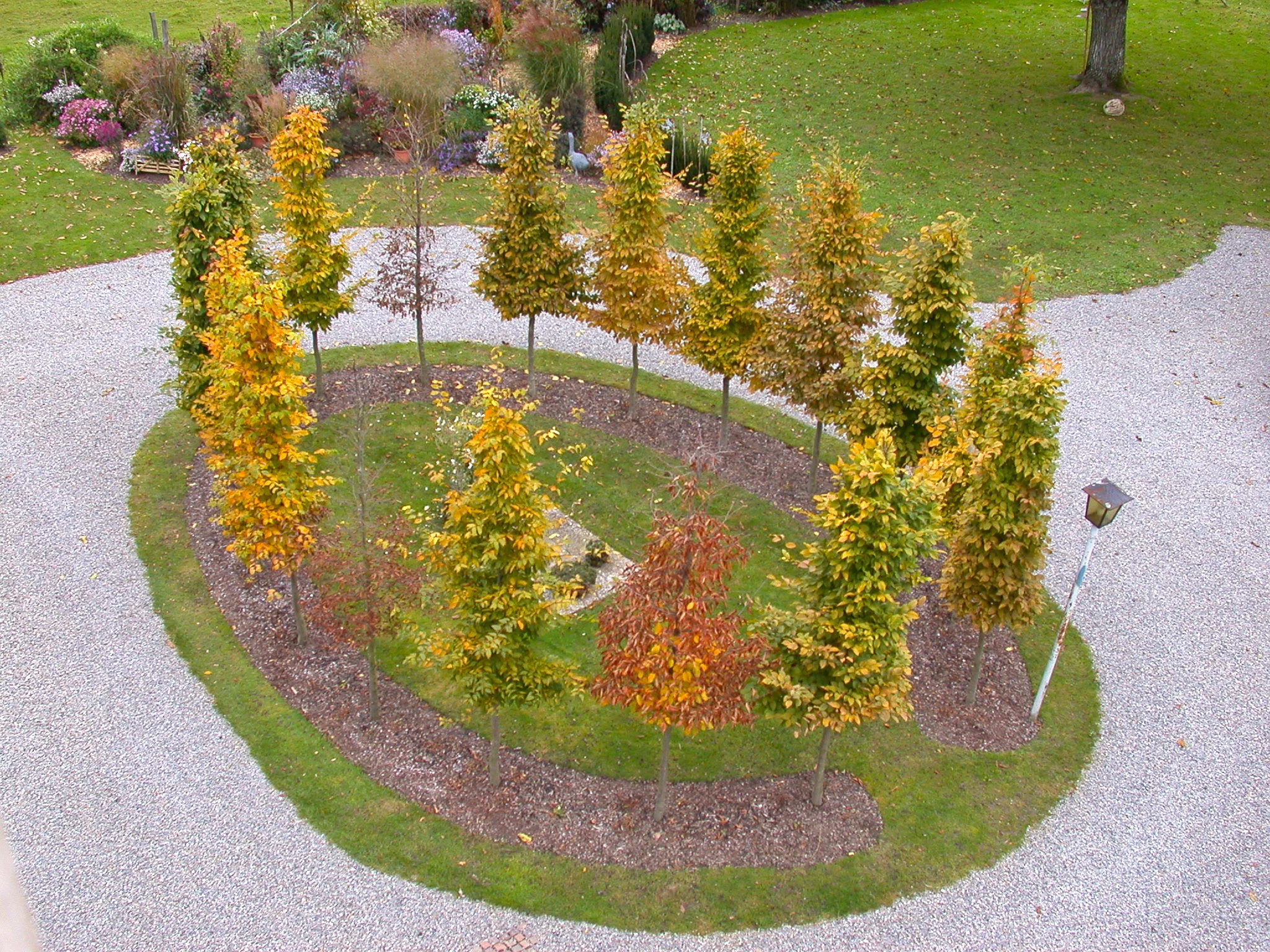 Herbstfärbung