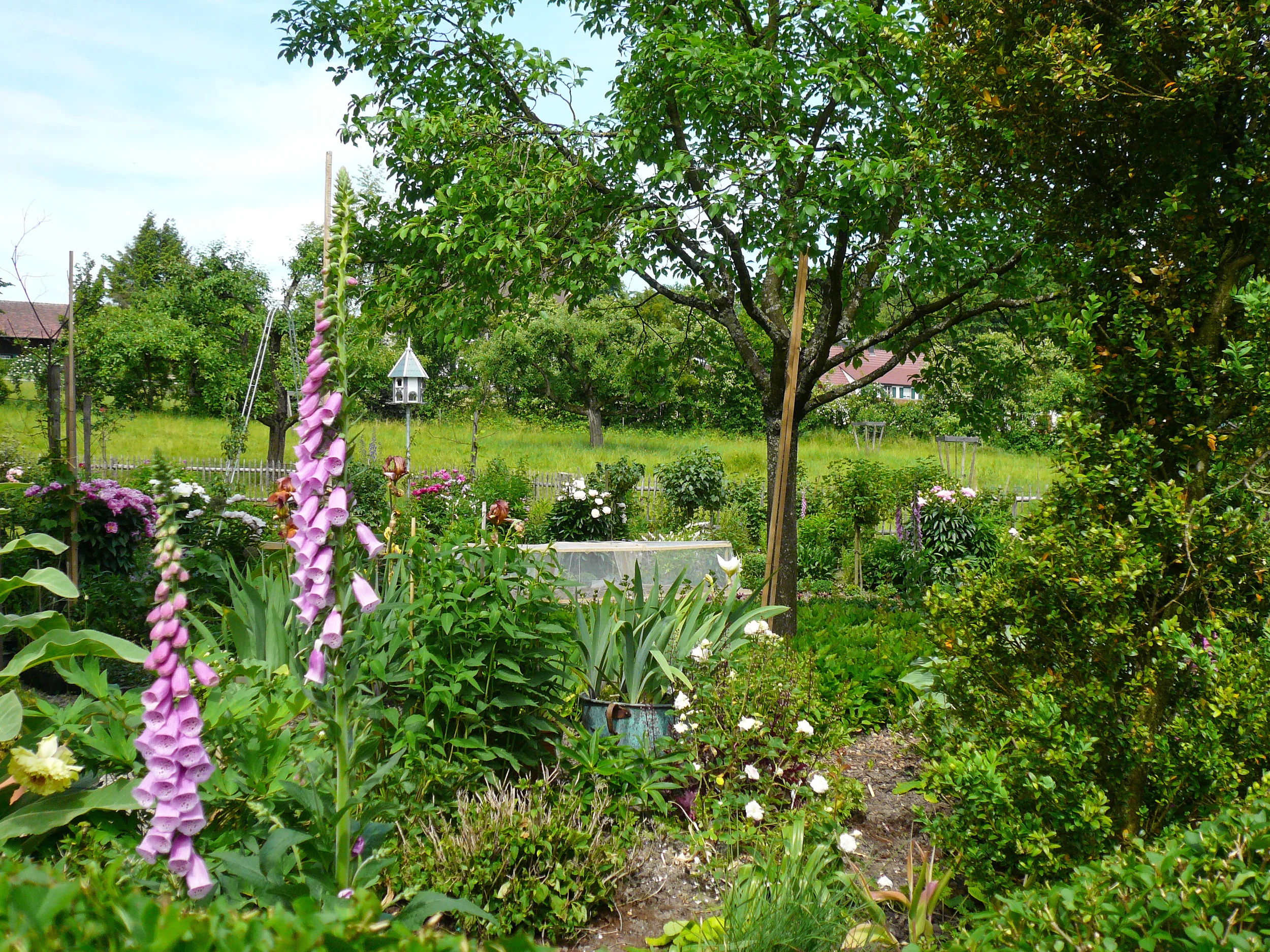Nutzgarten 