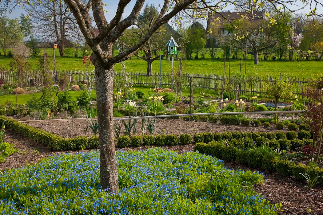 Nutzgarten 